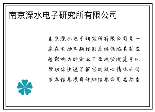 南京溧水电子研究所有限公司